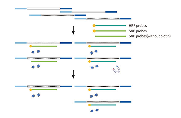5b51aa4b-0450-40ac-929c-acf7072f127b